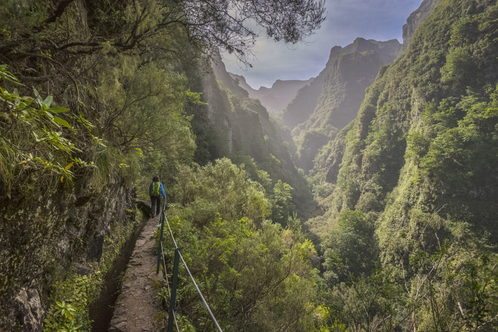 https://www.apmadeira.pt/en/