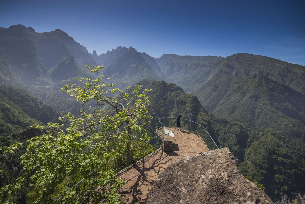 https://www.apmadeira.pt/en/