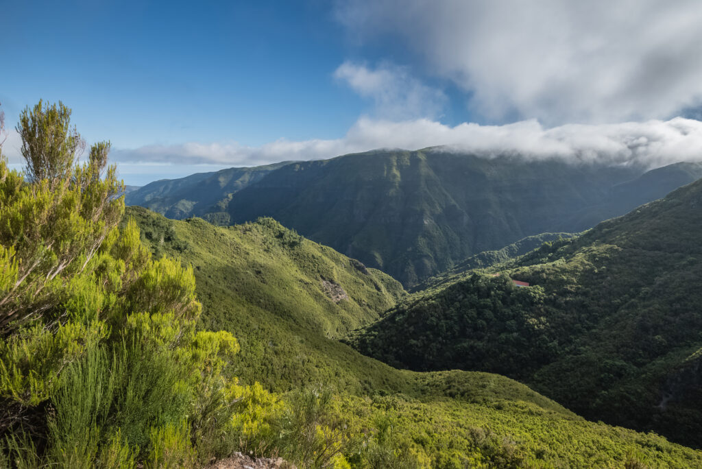 https://www.apmadeira.pt/en/